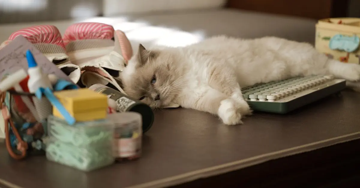 10 Essential Tips for Creating a Pet-Friendly Home Office