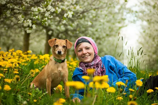 10 Essential Tips for Preparing Your Home for a New Pet