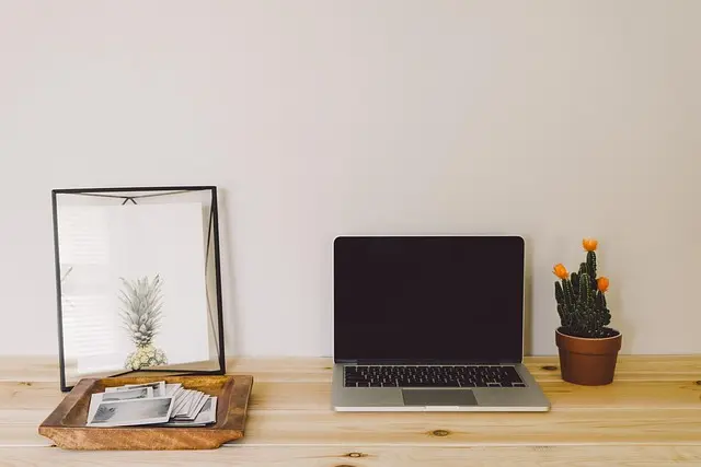 Top Tips for Creating a Pet-Friendly Home Office Space