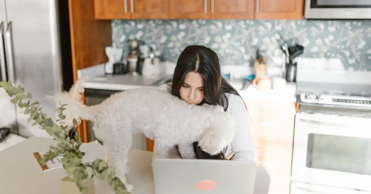 10 Effective Tips for Creating a Pet-Friendly Workspace