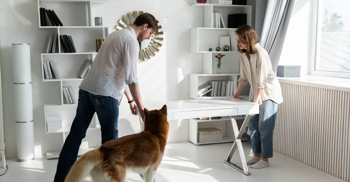 10 Essential Tips for Creating a Pet-Friendly Home Office
