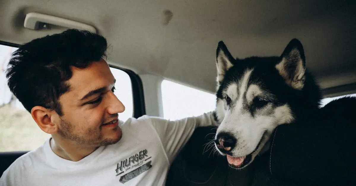 10 Essential Tips for Pet-Friendly Travel