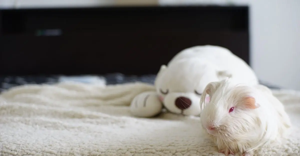 Tips for Preparing Your Home for a New Pet