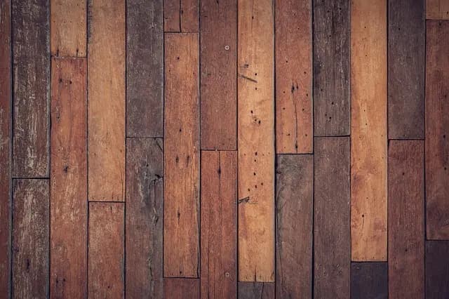 10 Essential Tips for Choosing Pet-Friendly Flooring