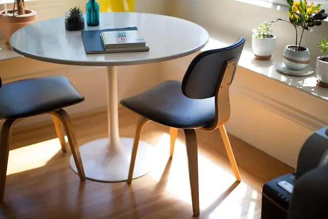 How to Create a Pet-Friendly Home Office: Essential Tips