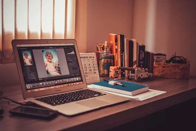 10 Essential Tips for Creating a Pet-Friendly Home Office