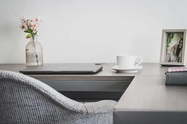 10 Essential Tips for Choosing Pet-Friendly Home Decor