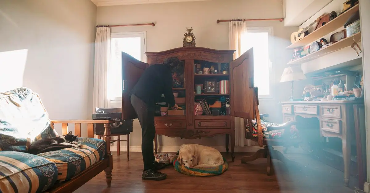 10 Tips for a Happy and Healthy Pet-Friendly Home