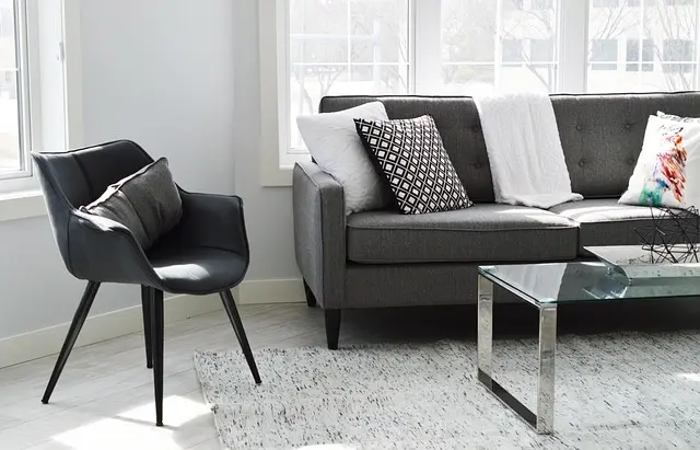 How to Create a Safe and Engaging Pet-Friendly Living Room