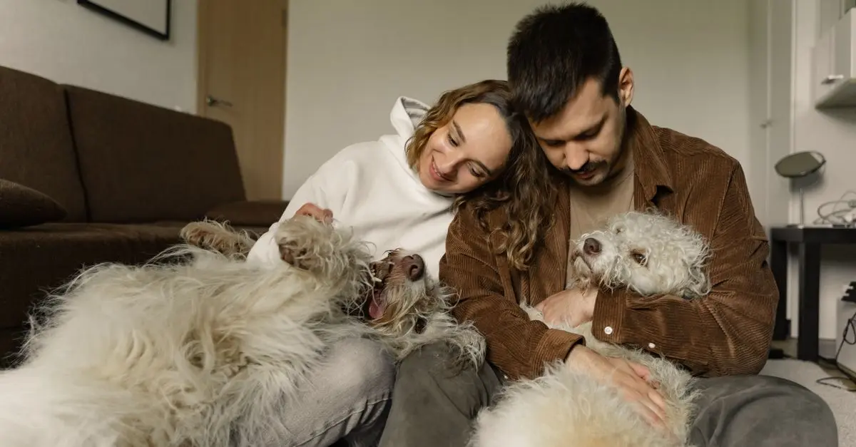 10 Essential Tips for Hosting a Pet-Friendly Gathering