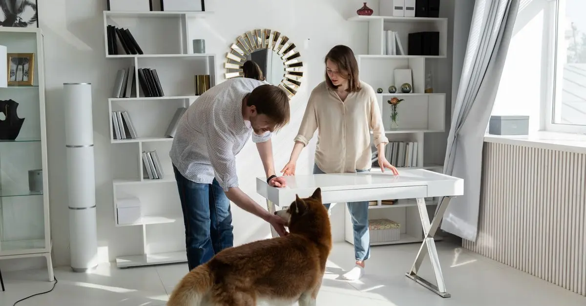 Pet-Friendly Tech Gadgets You Need