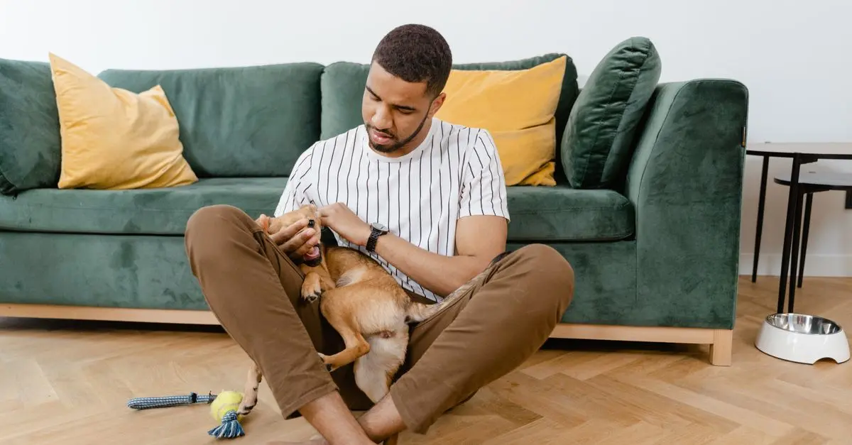 Choosing the Right Pet-Friendly Flooring