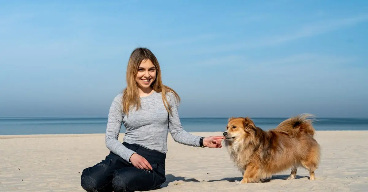 Essential Tips for Pet-Friendly Travel Planning