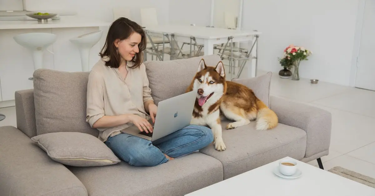 10 Ingenious Ways to Make Your Home More Pet-Friendly