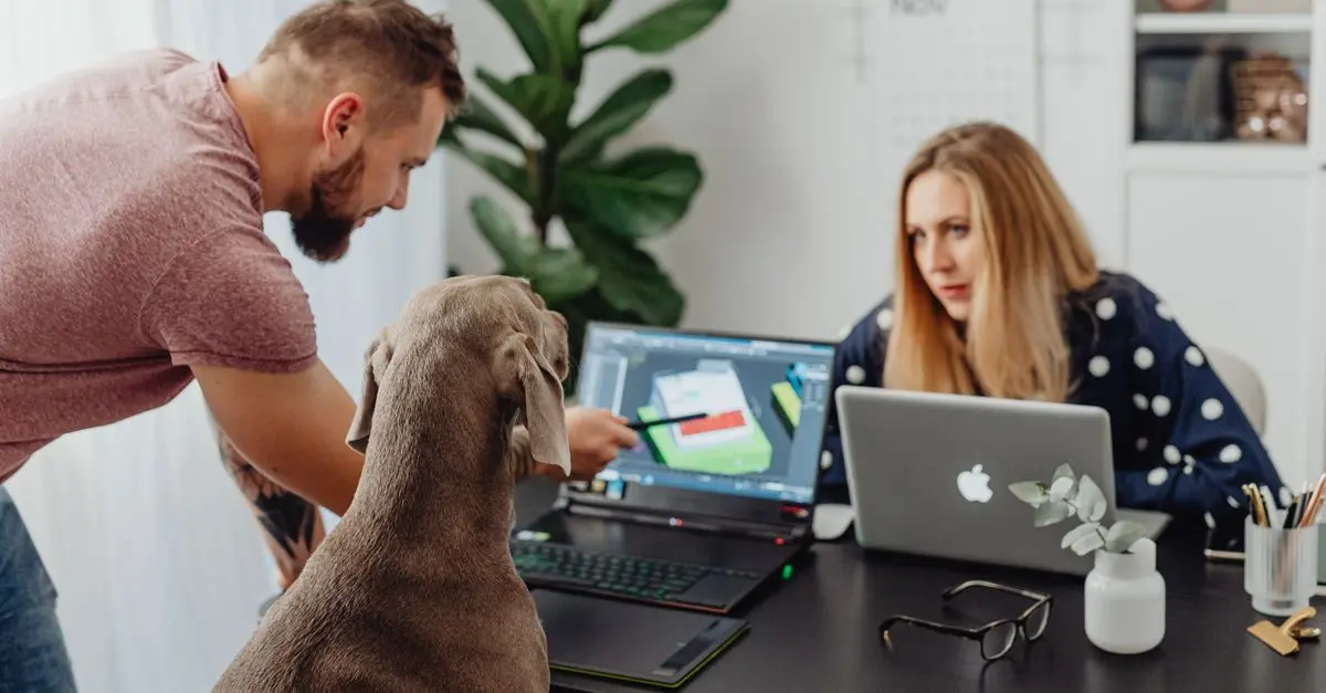 Essential Tips for Creating a Pet-Friendly Office Space
