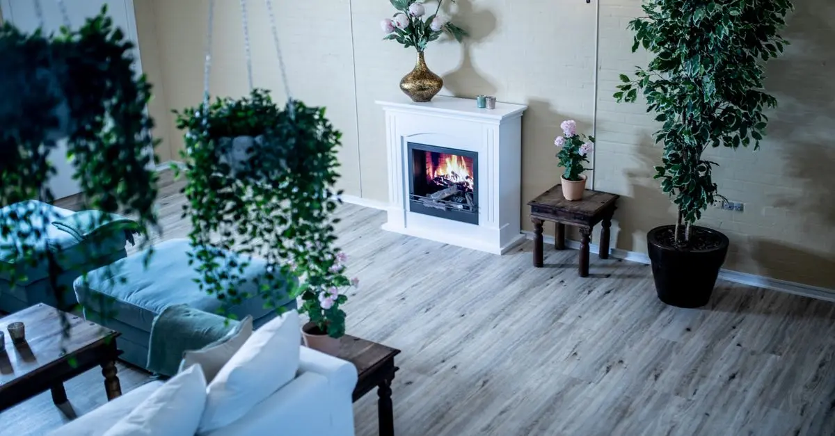 10 Essential Tips for Creating a Pet-Friendly Living Room