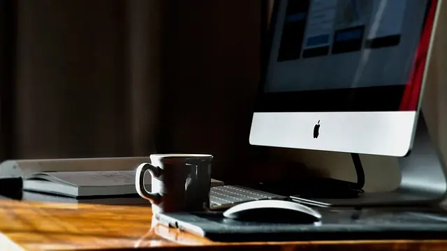 Top 10 Tips for Creating a Pet-Friendly Home Office