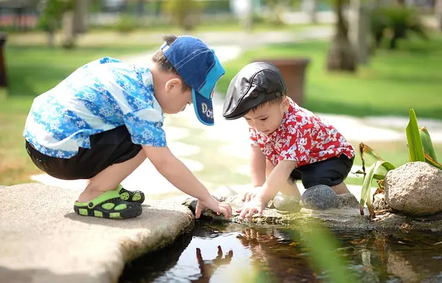 Top 10 Tips for Pet-Friendly Summer Care