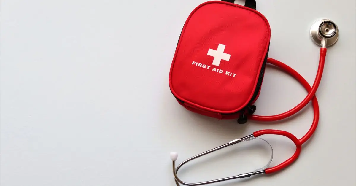 Creating a Pet First Aid Kit