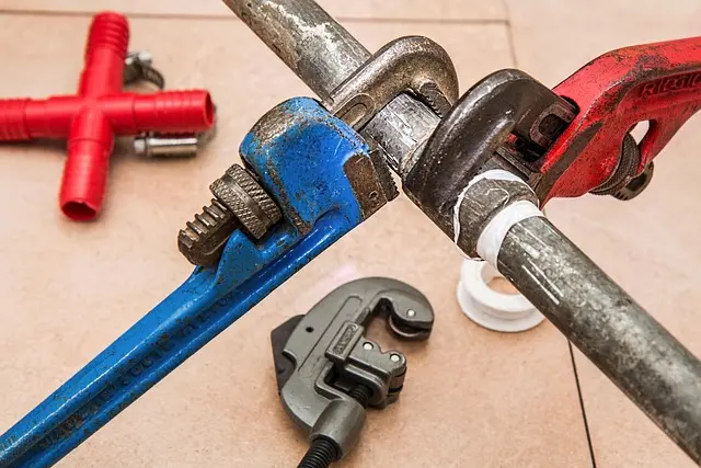 5 Essential Tips for Pet-Friendly Home Maintenance