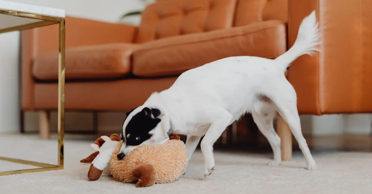 10 Essential Tips for Pet-Friendly Home Renovations