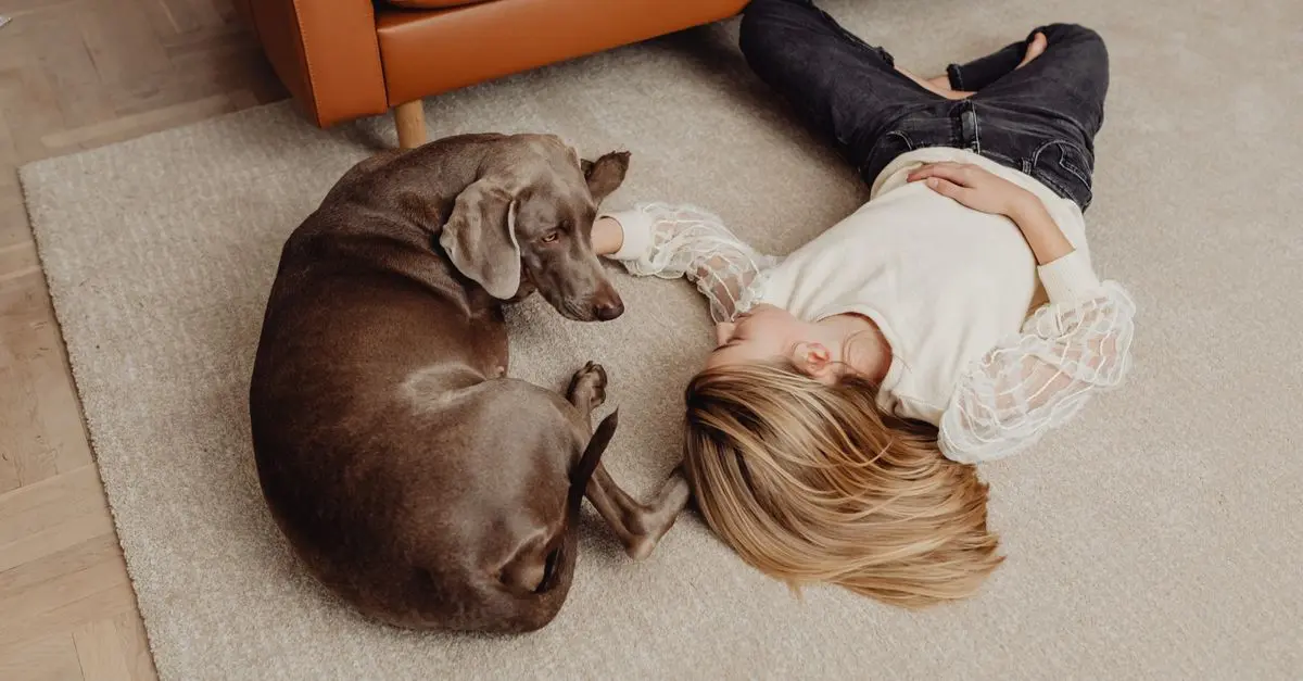 How to Choose the Best Pet-Friendly Paint for Your Home
