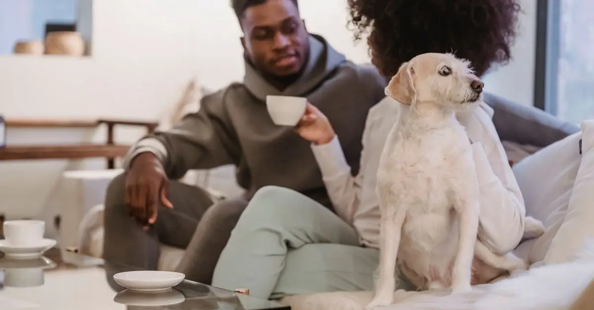 10 Tips for Introducing New Pets to Each Other Safely