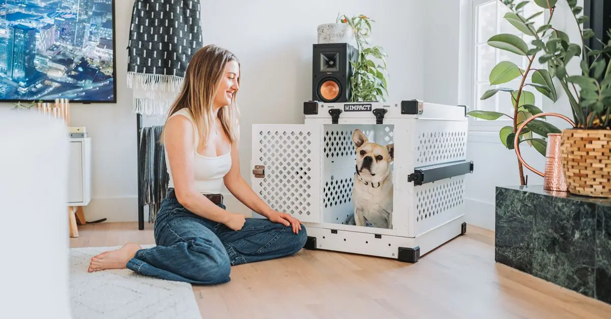 10 Essential Tips for Pet-Friendly Home Maintenance