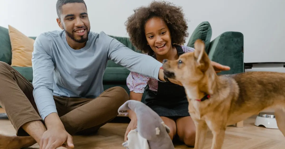 10 Essential Tips for Pet-Friendly Home Maintenance