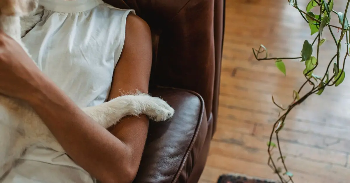 Top 10 Must-Have Features for a Pet-Friendly Home