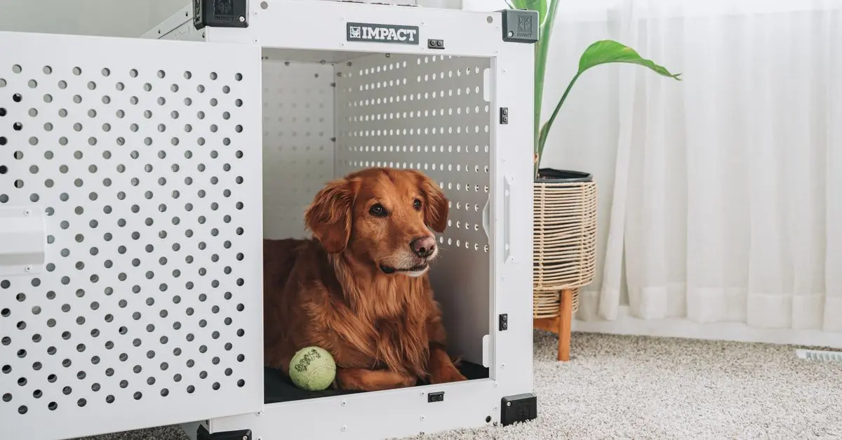Top 10 Essential Tips for Pet-Friendly Home Design