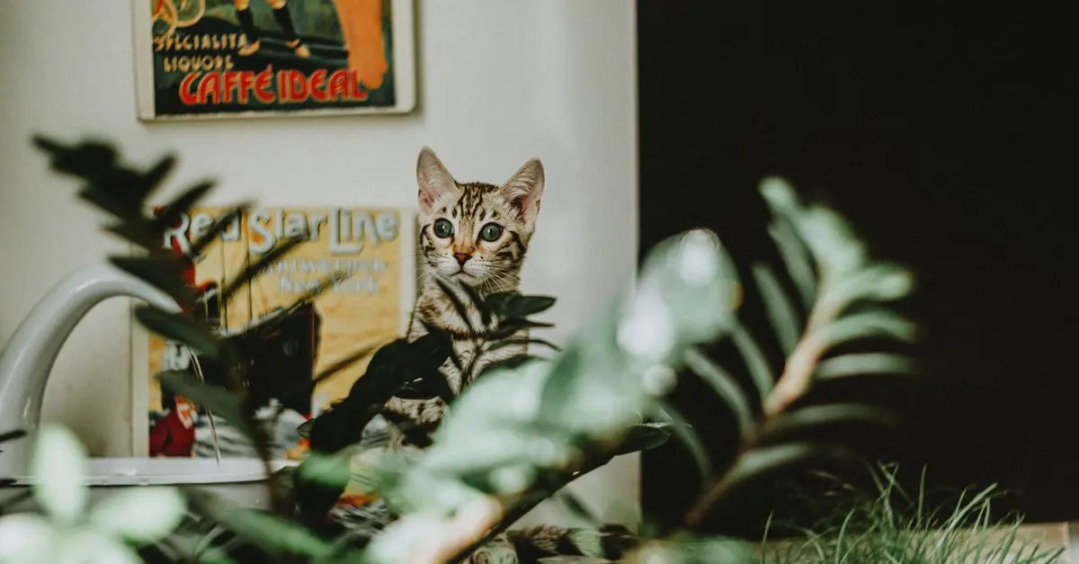 10 Tips for Choosing the Right Pet-Friendly Houseplants