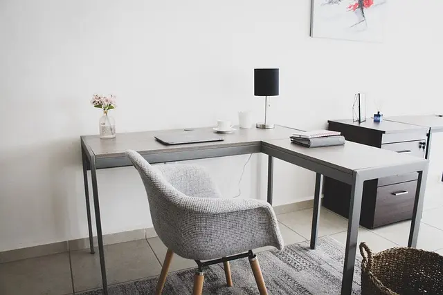 10 Essential Tips for Creating a Pet-Friendly Home Office
