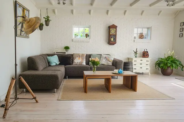 Essential Tips for Creating a Pet-Friendly Environment at Home