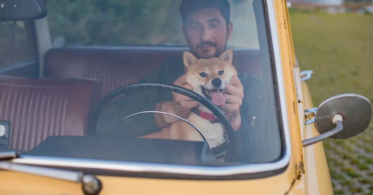 10 Essential Tips for Pet-Friendly Travel Planning
