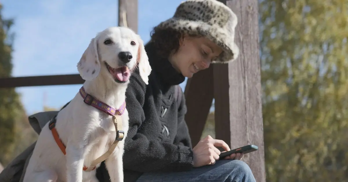 10 Essential Tips for Pet-Friendly Travel Planning