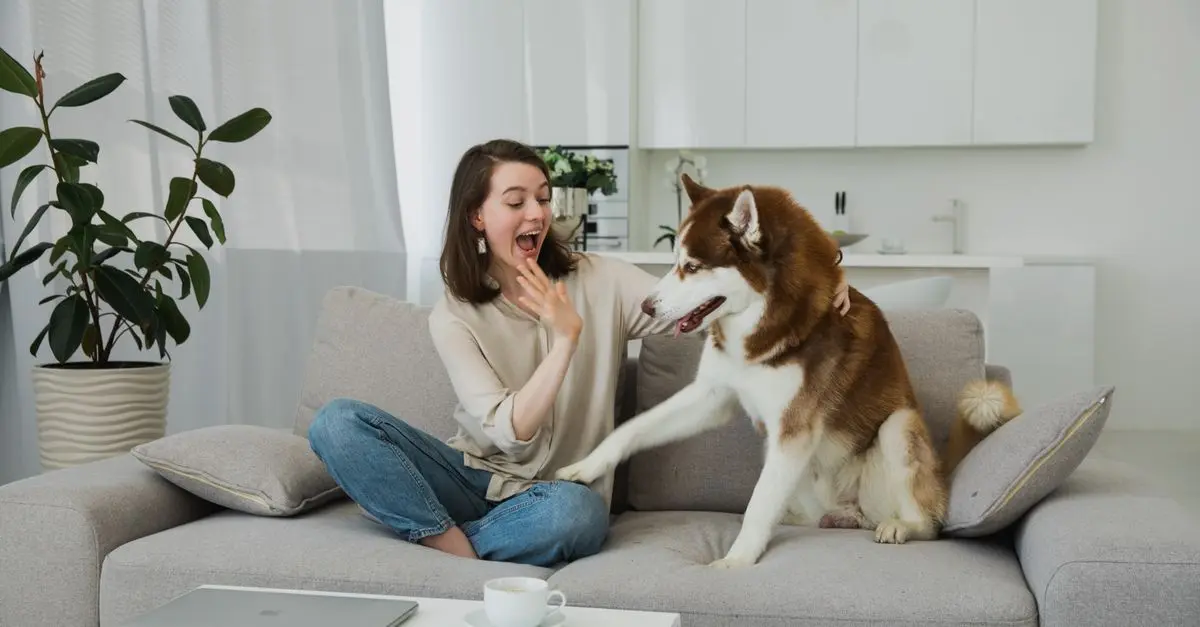 Top 10 Pet-Friendly Cleaning Products for a Safe Home