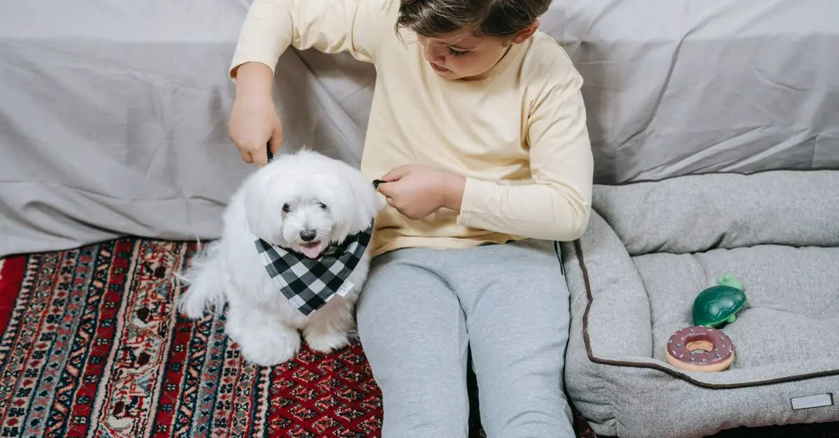 10 Essential Tips for Pet-Friendly Winter Care