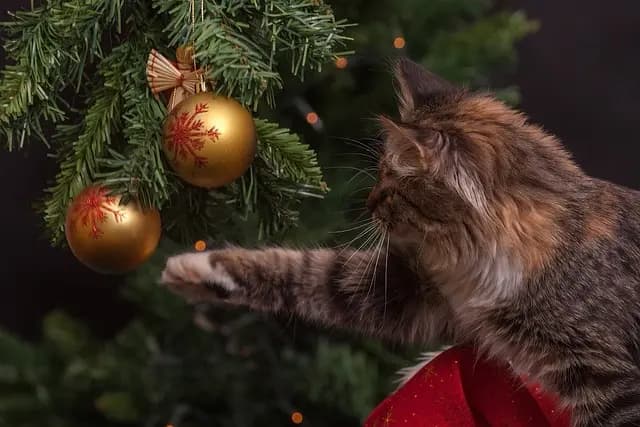 10 Essential Tips for a Pet-Friendly Holiday Gathering