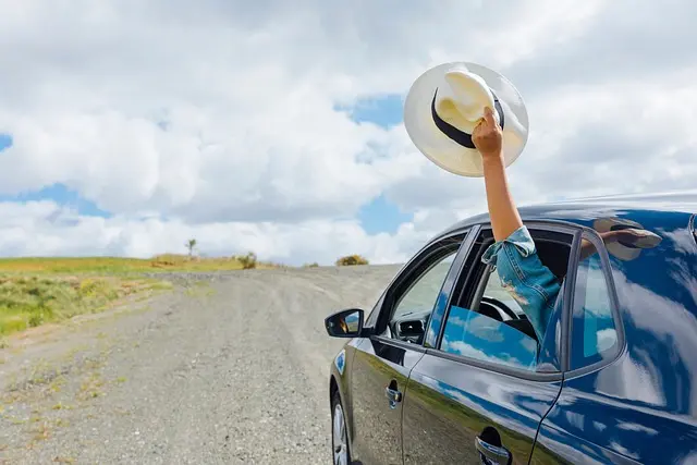 10 Tips for Safe Travel with Your Pets