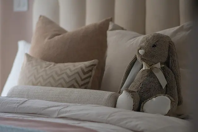 10 Essential Tips for Keeping Your Home Pet-Friendly