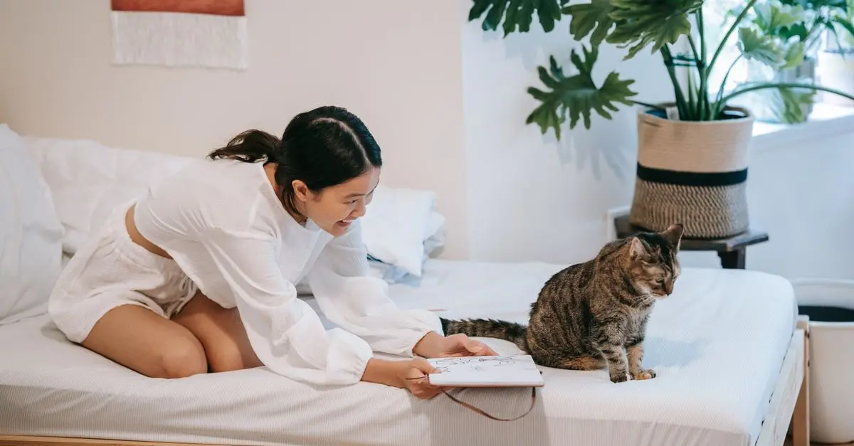 10 Essential Tips for Creating a Pet-Friendly Home