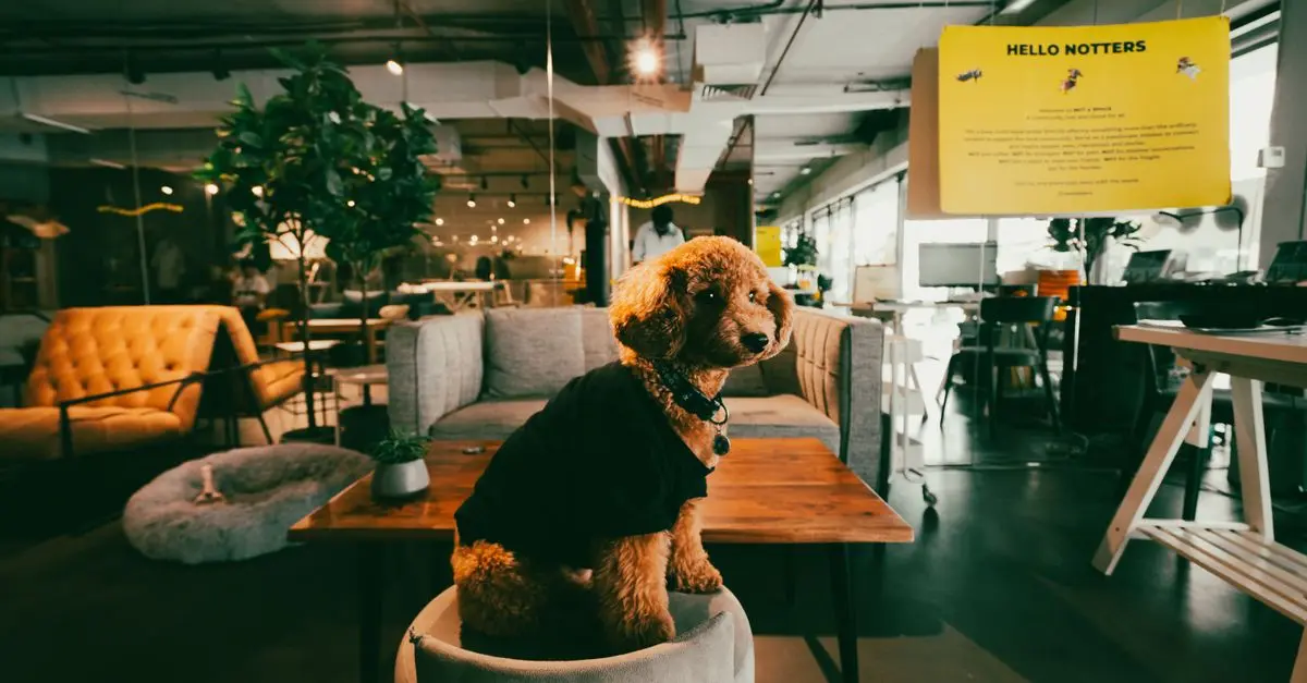 10 Essential Tips for Creating a Pet-Friendly Home Office