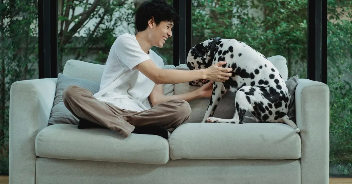 10 Essential Tips for a Safe and Comfortable Pet-Friendly Home