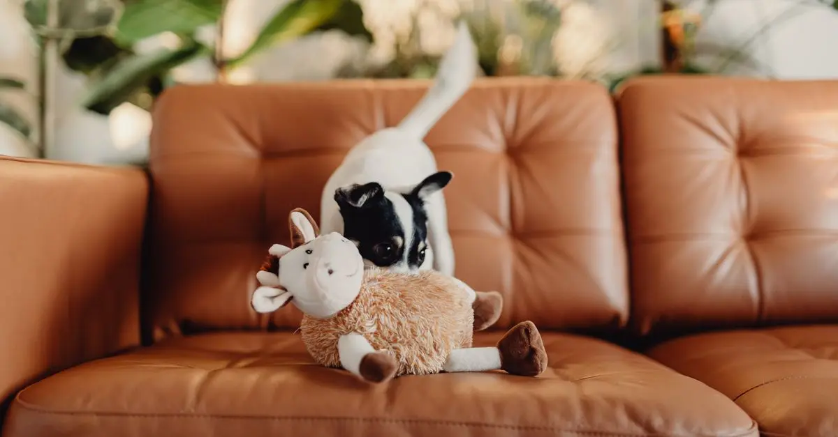 10 Tips for a Pet-Friendly Living Room