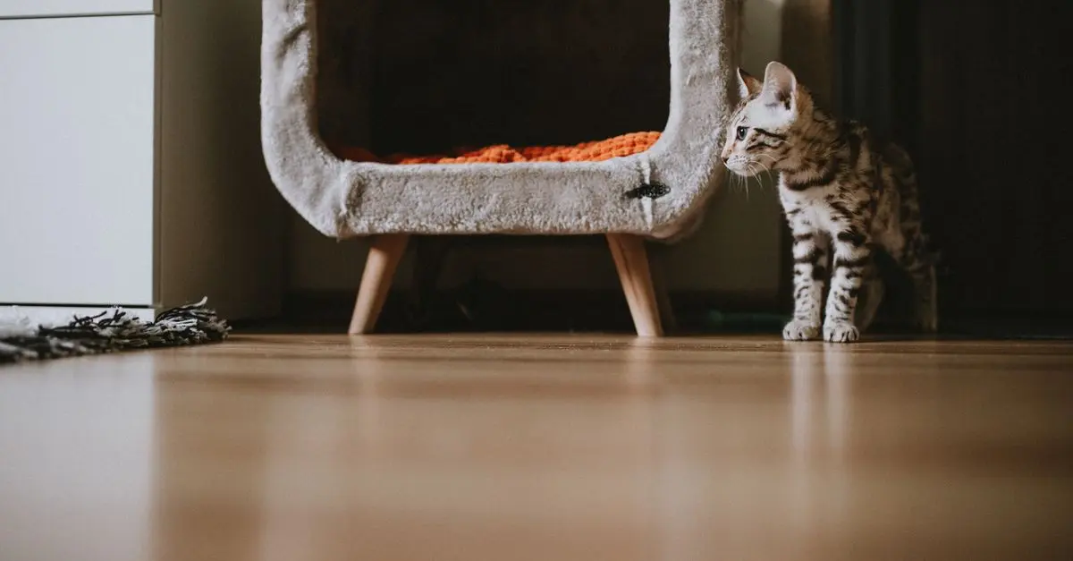 How to Create a Pet-Friendly Workspace at Home