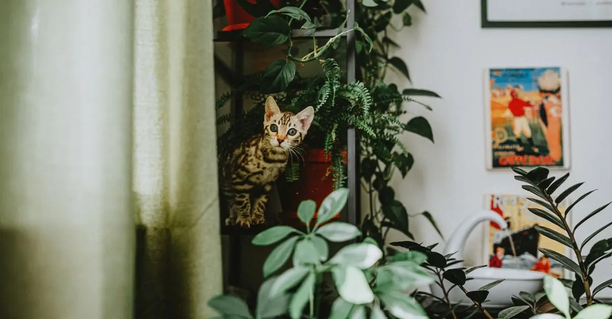 10 Simple Ways to Make Your Home More Pet-Friendly