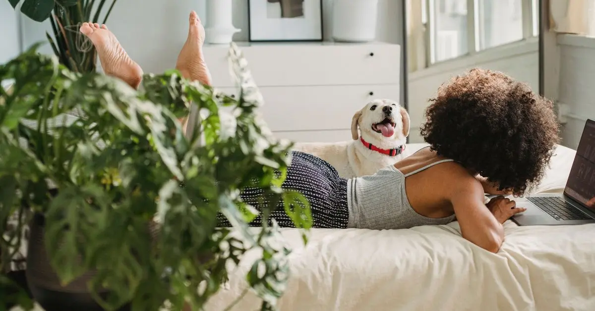 10 Essential Tips for Creating a Pet-Friendly Office