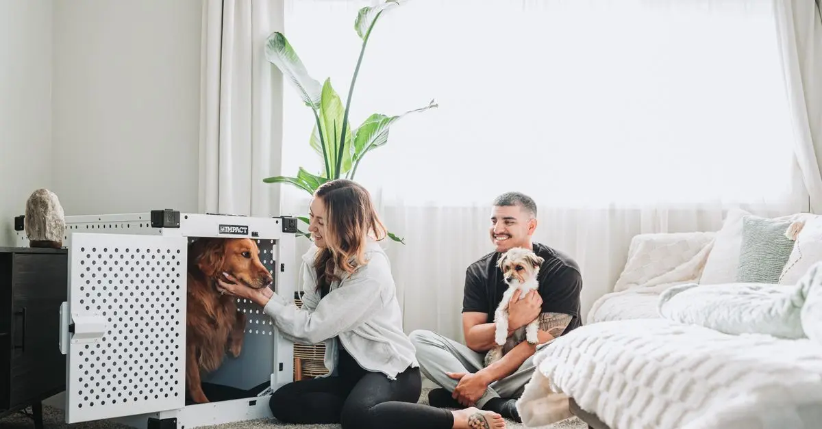Essential Tips for Introducing a New Pet to Your Home