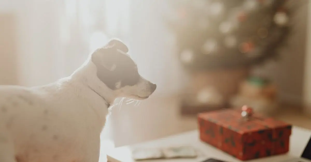 10 Essential Tips for Pet-Friendly Holiday Decorating